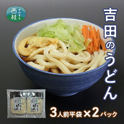 No.353 吉田のうどん3人前平袋×2パック（3人前×2パック） ／ 麺 乱切り麺 送料無料 山梨県 特産品