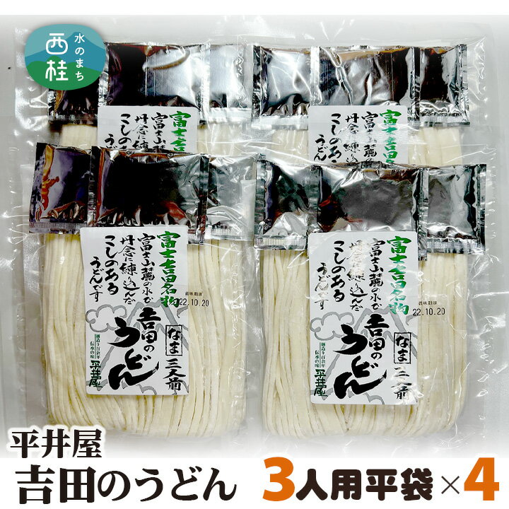 13位! 口コミ数「0件」評価「0」No.355 吉田のうどん3人前平袋×4パック（3人前×4パック） ／ 麺 乱切り麺 送料無料 山梨県 特産品