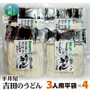 11位! 口コミ数「0件」評価「0」No.355 吉田のうどん3人前平袋×4パック（3人前×4パック） ／ 麺 乱切り麺 送料無料 山梨県 特産品