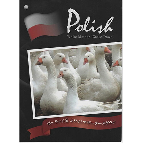 山梨県西桂町の画像3