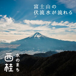 【ふるさと納税】No.186 米粉でつくった乾パン3セット【アレルギー特定原材料28品目使用なし】 ／ 災害備蓄用 非常食 長期保存 送料無料 山梨県 画像1