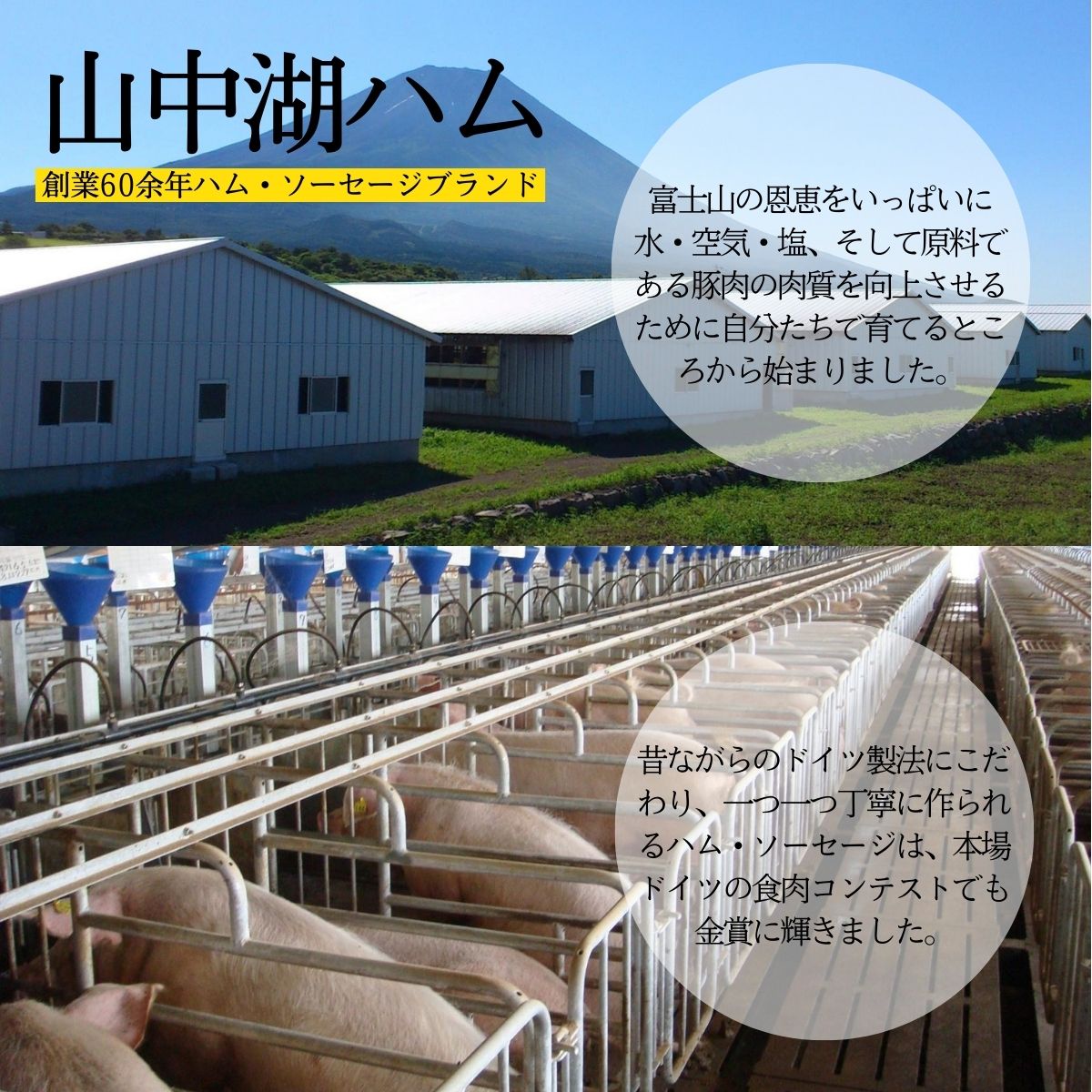 山梨県西桂町の画像3