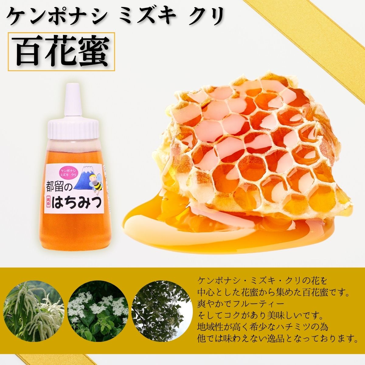 山梨県西桂町の画像2