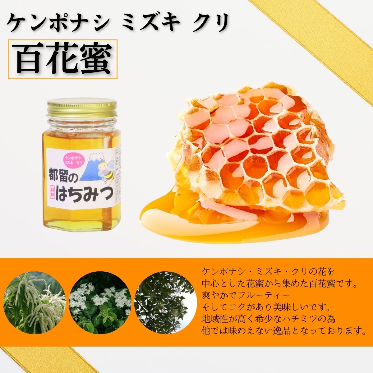 山梨県西桂町の画像3