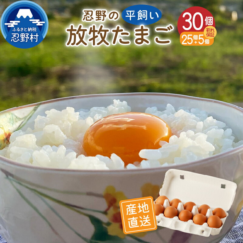 【ふるさと納税】 人気 卵 たまご 平飼い 放牧 30個 アニマルウェルフェア認証 一等賞 受賞 濃厚 新鮮 安心 安全 コク こだわり卵 TKG 朝食 夕食 夜食 卵かけごはん 産地直送 忍野村 山梨県産 送料無料※沖縄県、離島不可 山梨県のサムネイル