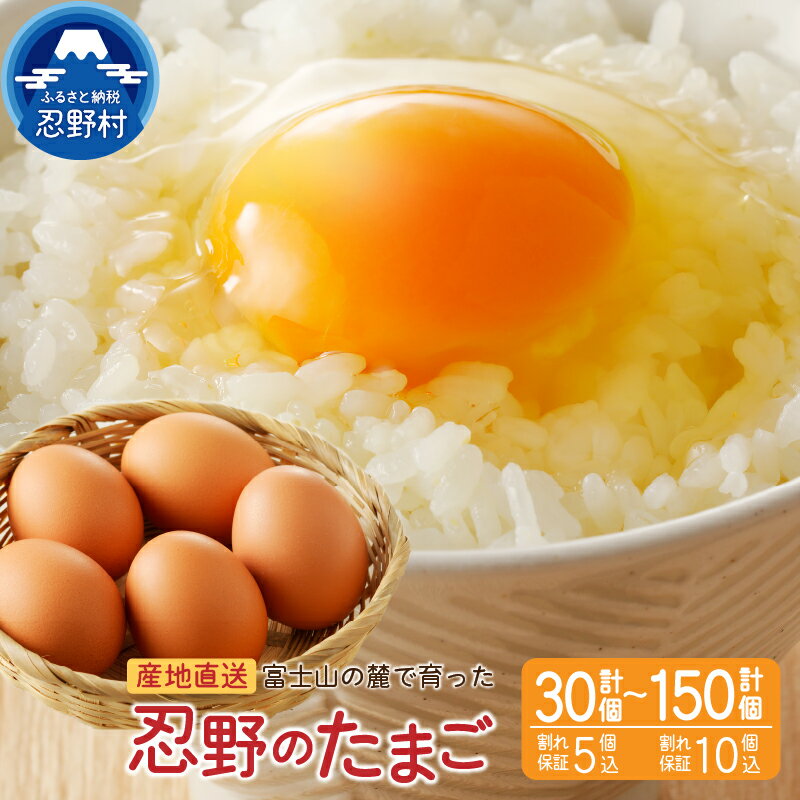 【ふるさと納税】 たまご 卵 旨味 人気 赤玉 ...の商品画像