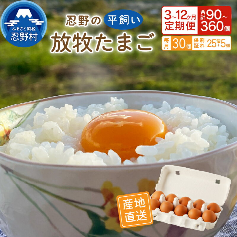 【ふるさと納税】 \【たまごの定期便】 極上の平飼い放牧たまご/ 3か月 6か月 12か月 卵 たまご 平飼い 放牧 30個 アニマルウェルフェア認証 一等賞 受賞 新鮮 安心 安全 コク 人気 TKG 朝食 夕食 夜食 卵かけごはん 産地直送 忍野村 山梨県産 送料無料※沖縄県、離島不可