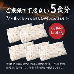 【ふるさと納税】ほうとう セット 生麺 5人前 箱入り 贈答 忍野村 山梨県産 富士山の流水使用 送料無料 ※沖縄県、離島不可 画像2