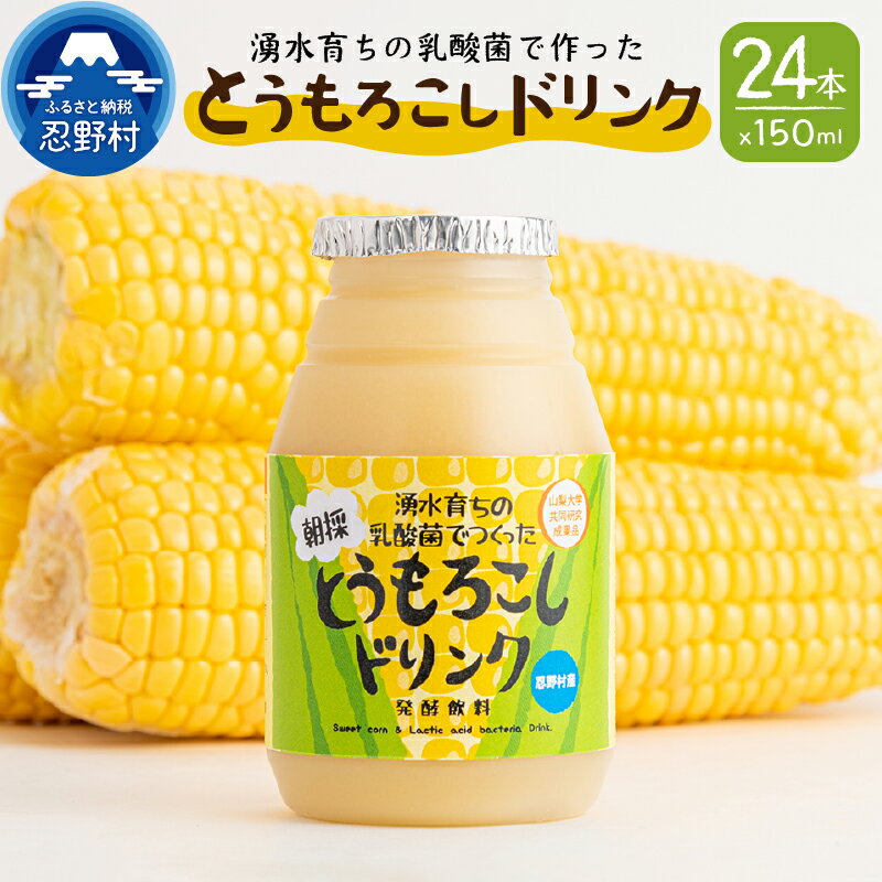 【ふるさと納税】とうもろこしドリンク清涼飲料水朝採りトウモロコシ乳酸菌発酵飲料150ml×24本送料無料