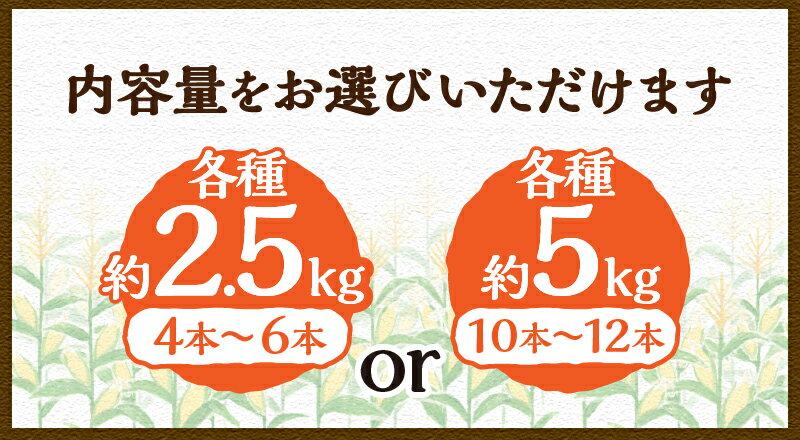 山梨県忍野村の画像2