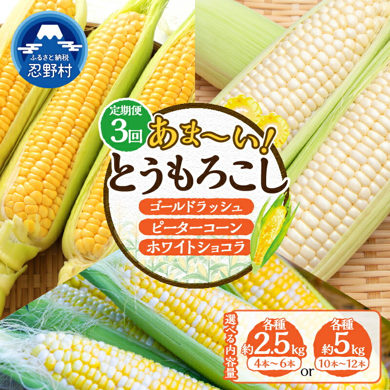 【ふるさと納税】 \\★セレクト定期便(月3回お届け)★ 2026年先行予約// とうもろこし ゴールドラッシュ ピーターコーン ホワイトショコラ 食べ比べ 約...