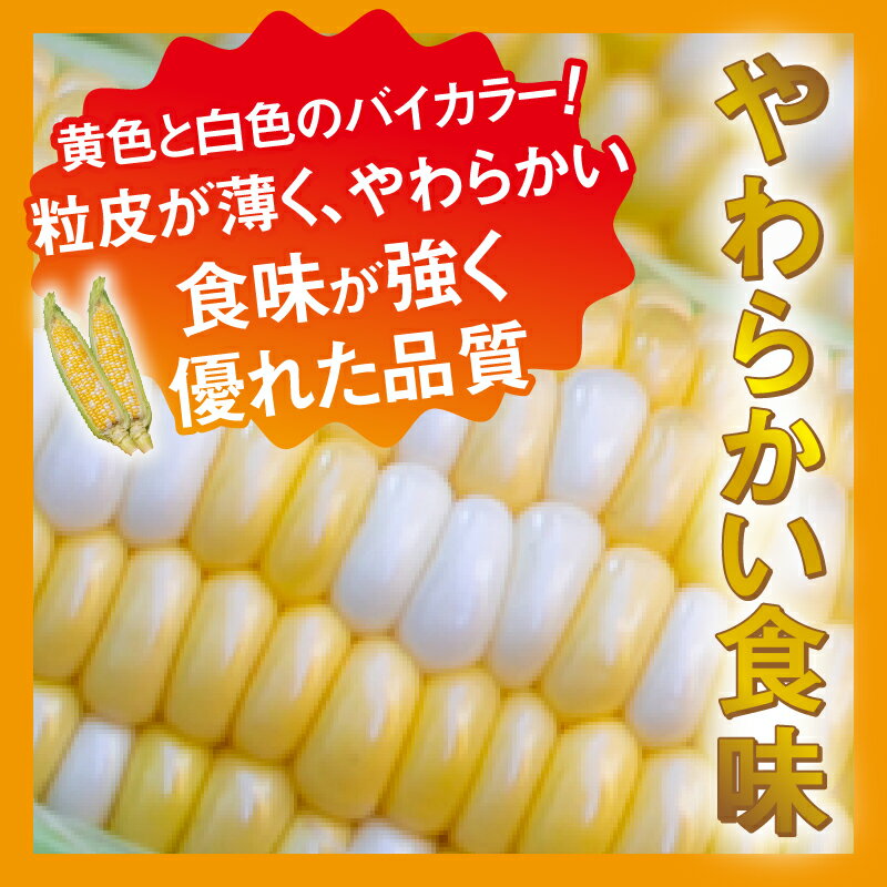 山梨県忍野村の画像3