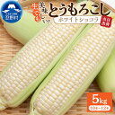 【ふるさと納税】 《先行予約》 とうもろこし コーン 朝採り 人気 トウモロコシ ホワイトショコラ とうきび 野菜 お取り寄せ 産地直送 農家直送 直送 新鮮 ...