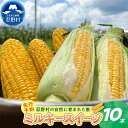 【ふるさと納税】【2025年先行予約】 とうもろこし コーン 朝採り 人気 トウモロコシ ミルキースイーツ とうきび 野菜 お取り寄せ 産地直送 農家直送 直送...