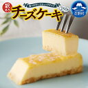 【ふるさと納税】 スイーツ 《訳あり》 チーズケーキ 一番人気 クリームチーズ しっとり 250g ティータイム お土産 冷凍 贈り物 贈答 プレゼント 送料無料 山梨県 忍野村