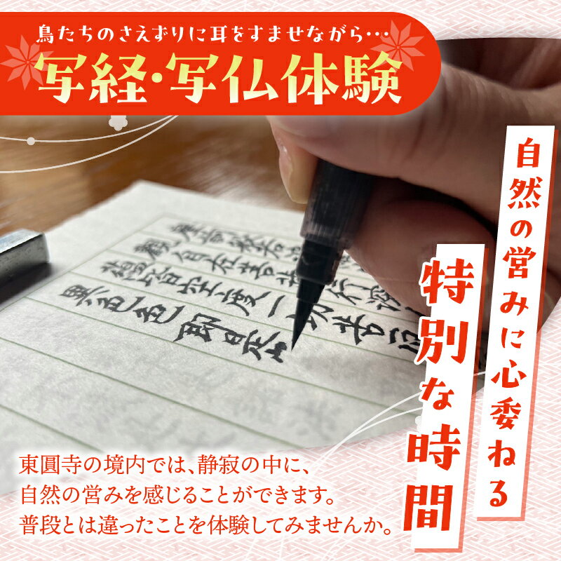 山梨県忍野村の画像2