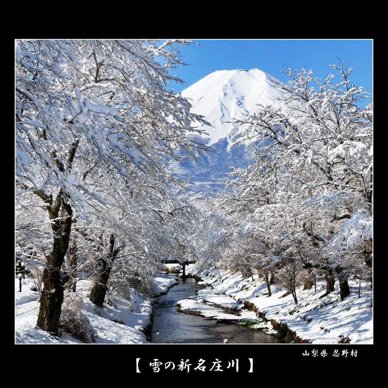 山梨県忍野村の画像3