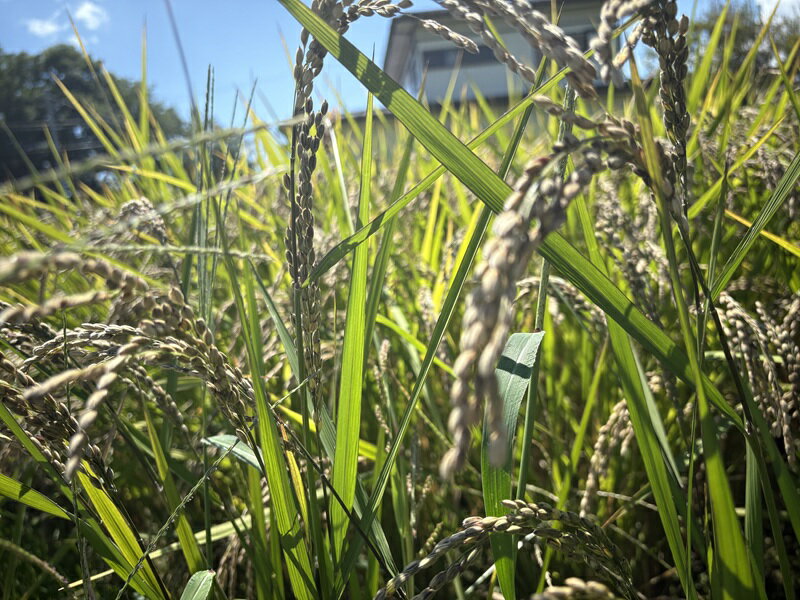 山梨県忍野村の画像2