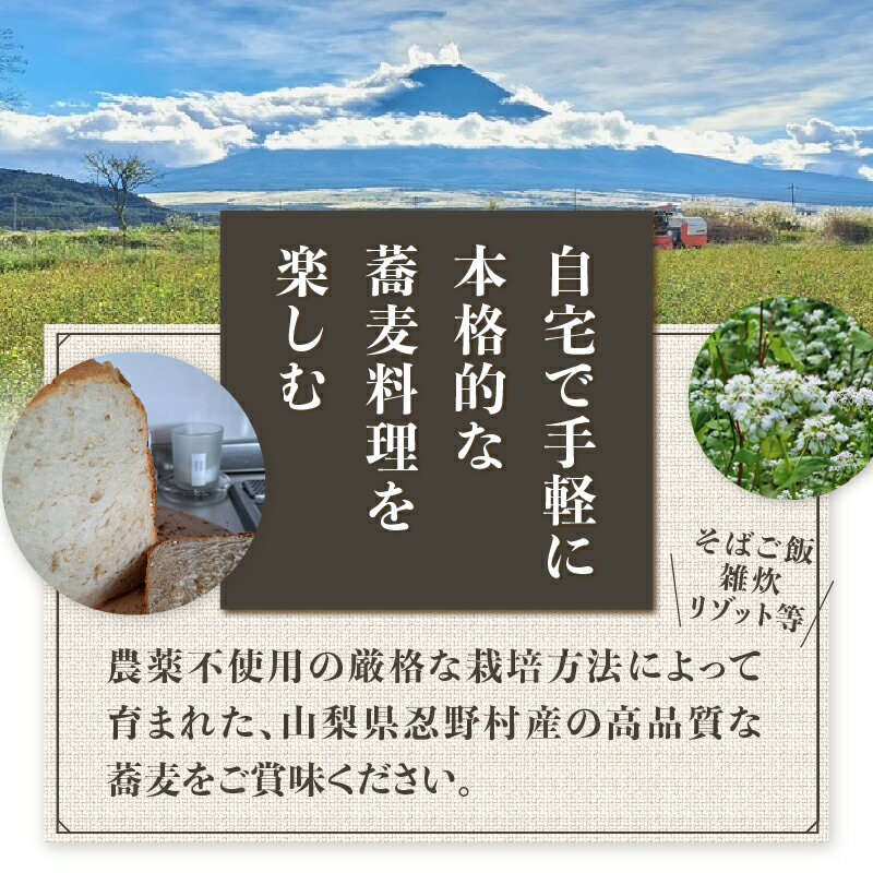 山梨県忍野村の画像3
