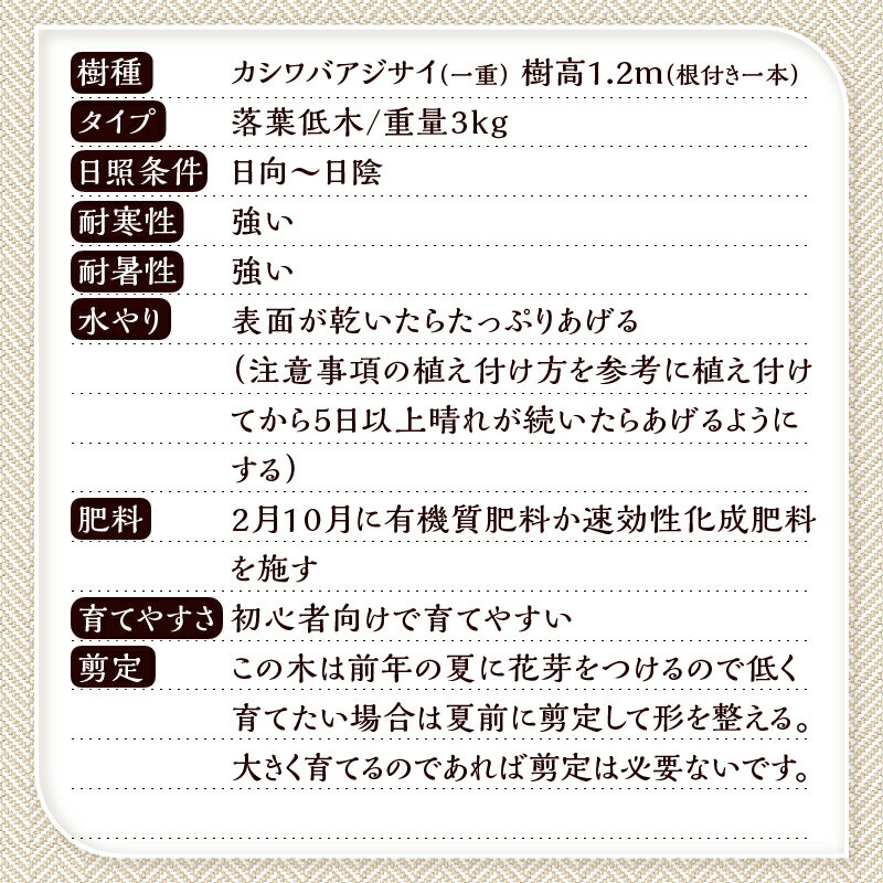 山梨県忍野村の画像3