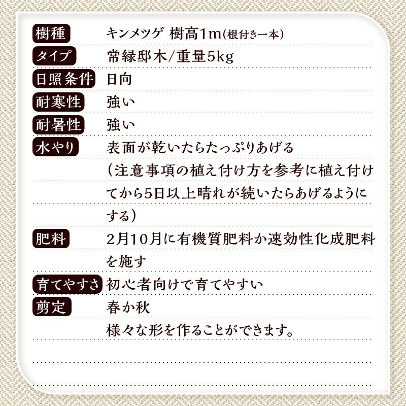 山梨県忍野村の画像3