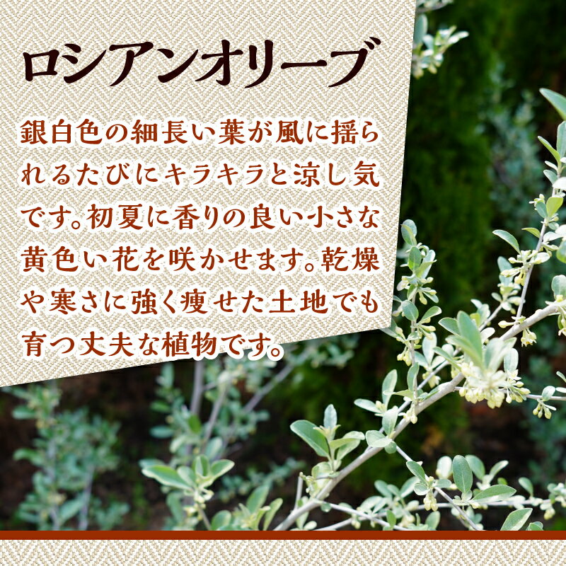 山梨県忍野村の画像2