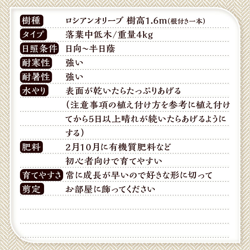 山梨県忍野村の画像3