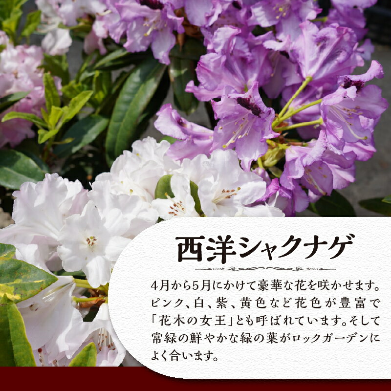 山梨県忍野村の画像2