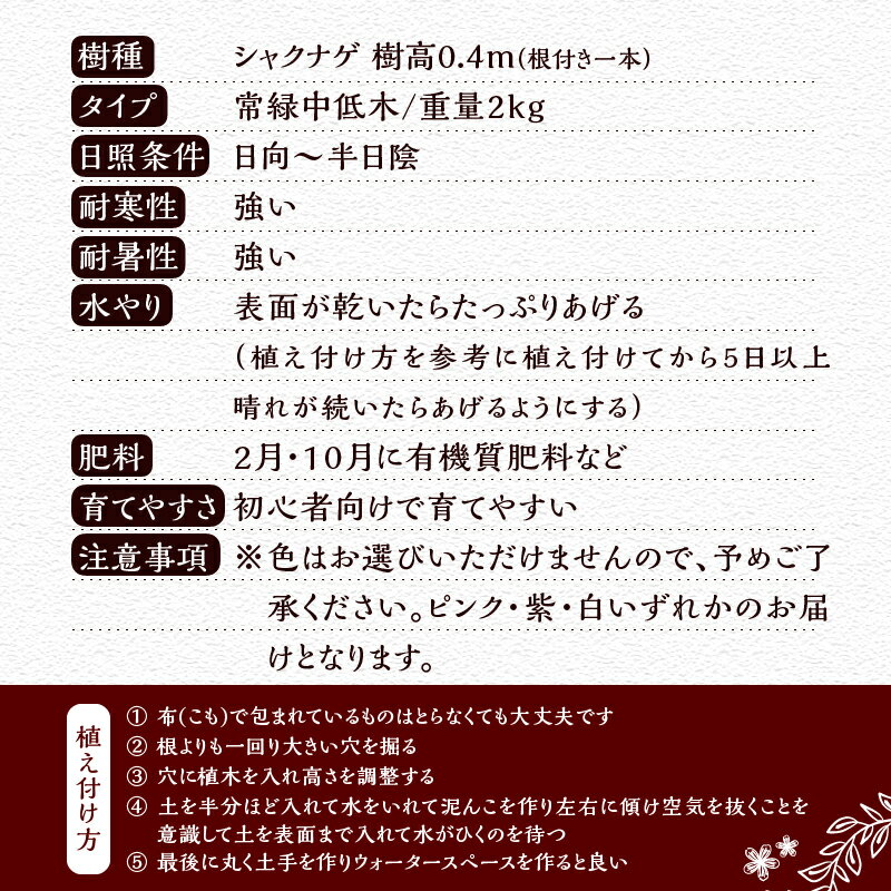 山梨県忍野村の画像3