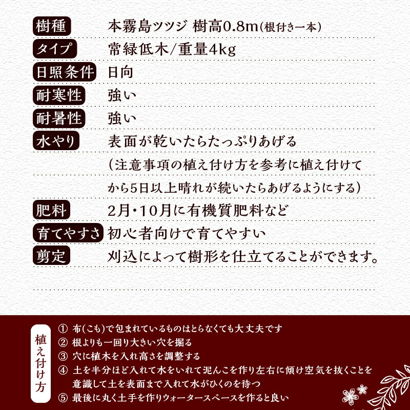 山梨県忍野村の画像3