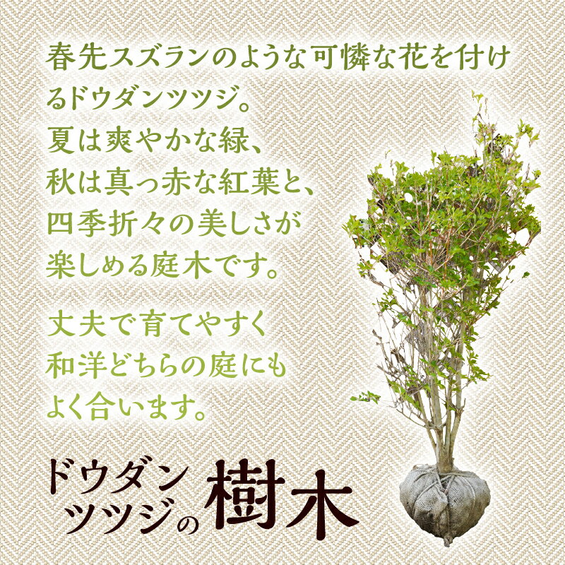 山梨県忍野村の画像2