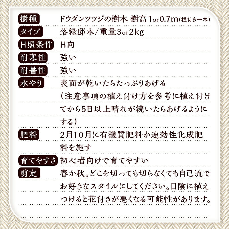 山梨県忍野村の画像3