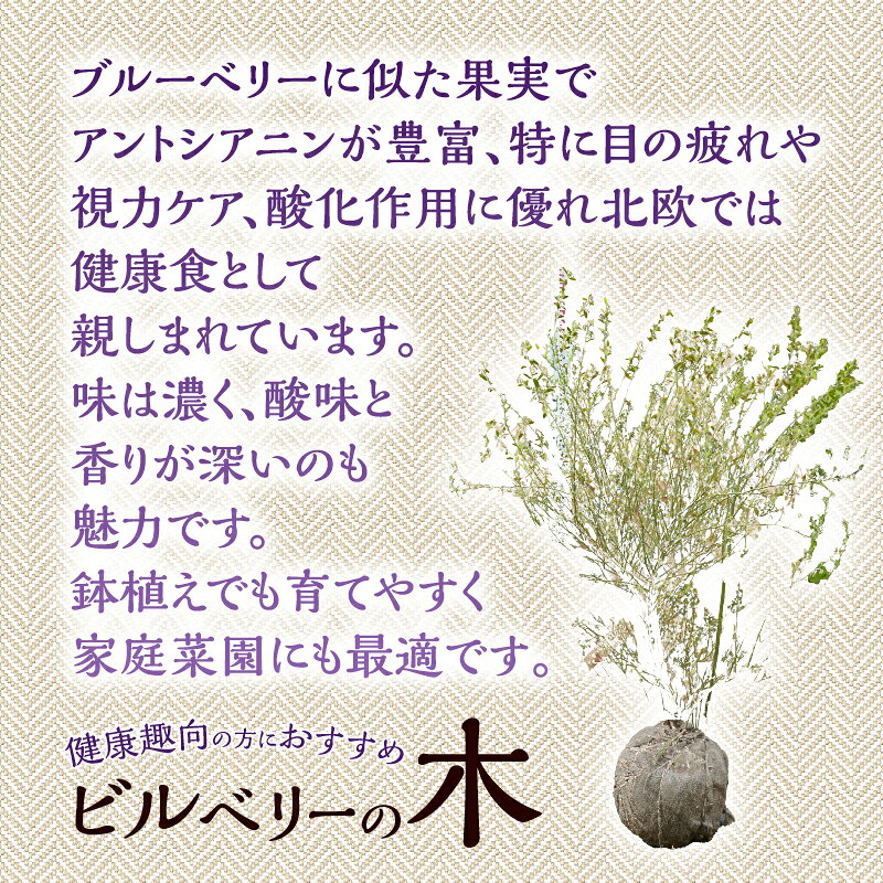 山梨県忍野村の画像2