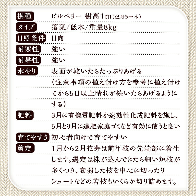 山梨県忍野村の画像3