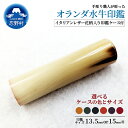 【ふるさと納税】はんこ オランダ水牛印鑑 印鑑ケース 13.5mm 15mm 印鑑 ハンコ 判子 オランダ水牛 革 イタリアンレザ− 手彫り プレミアム 花柄 ...