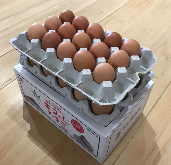 【ふるさと納税】富士山の麓で育った産地直送 ”忍野の卵”　30個入り
