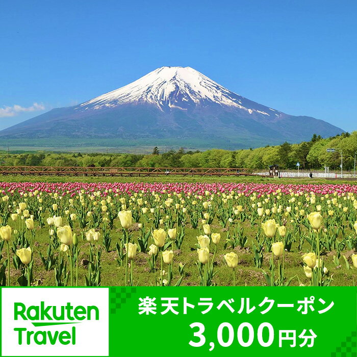 山梨県山中湖村の対象施設で使える楽天トラベルクーポン 寄附額 10,000円