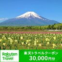 【ふるさと納税】山梨県山中湖村の対象施設で使える楽天トラベルクーポン 寄附額 100,000円