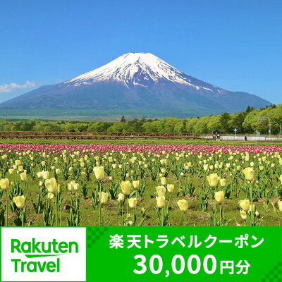 楽天ふるさと納税　【ふるさと納税】山梨県山中湖村の対象施設で使える楽天トラベルクーポン 寄附額 100,000円