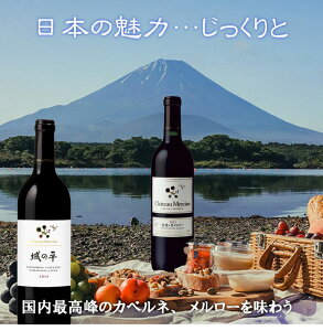 【ふるさと納税】日本最高峰のカベルネ&メルローを味わう 2本セット R-701☆ストラクチャー、ハーモニーを感じる味わいを☆が大人気返礼品になっている理由とは ふるさと納税 人気 返礼品 ランキング