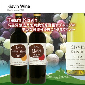 【ふるさと納税】【Kisvin Wine】キスヴィン・ワイン 3本セット R509☆高品質葡萄から生まれる至福の味わい☆が大人気返礼品になっている理由とは ふるさと納税 人気 返礼品 ランキング