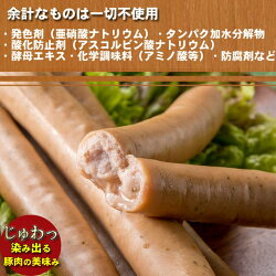 【ふるさと納税】【山中湖ハム　無添加ソーセージ】豚肉と塩、ハーブ香辛料だけで作った無添加ソーセージ/800gを定期便で3ヶ月間配送　合計約2.4kg【定期便　無添加　肉　ソーセージ　加工品　マスタード付き】※離島地域への発送不可※着日指定不可･･･ 画像2