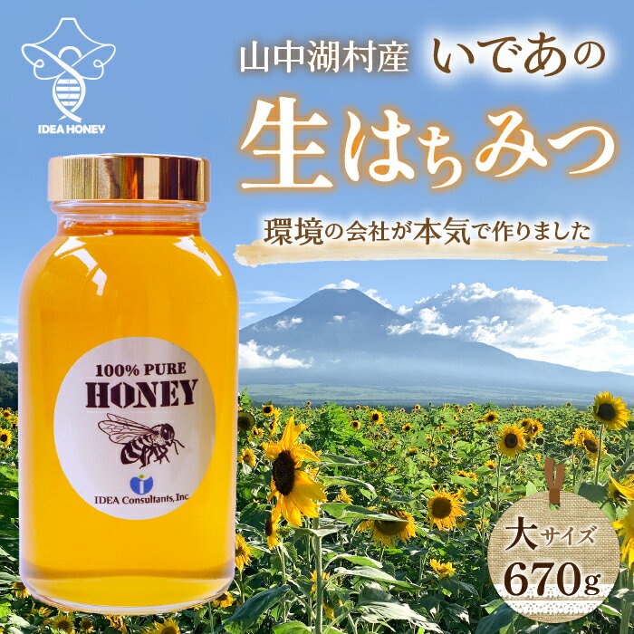 【ふるさと納税】【特製木箱入り】山中湖村産　はちみつ大　670g ふるさと納税 はちみつ 美容 健康 朝...