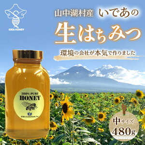 【ふるさと納税】【特製木箱入り】山中湖村産　はちみつ中　480g ふるさと納税 はちみつ 美容 健康 朝食 ヨーグルト パンケーキ 山梨県 山中湖村 送料無料 YAM002