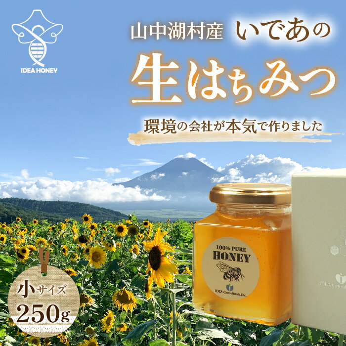 [特製貼箱入り]山中湖村産 はちみつ小 250g ふるさと納税 はちみつ 美容 健康 朝食 ヨーグルト パンケーキ 山梨県 山中湖村 送料無料