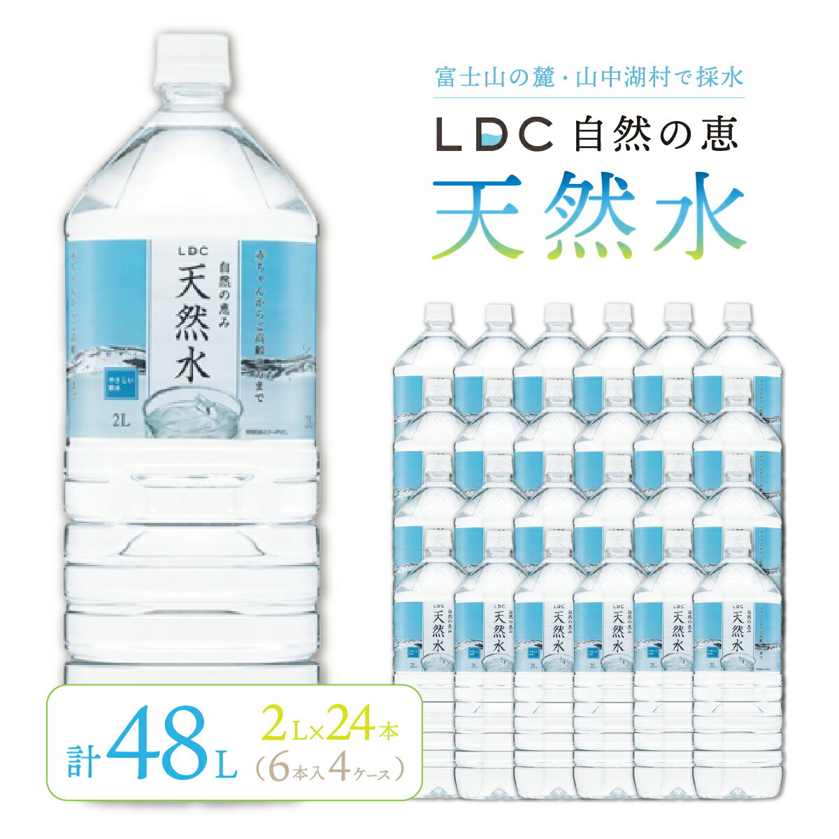 【ふるさと納税】自然の恵み天然水　2L×24本（6本入り4ケ