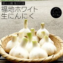 14位! 口コミ数「0件」評価「0」 富士山麓 鳴沢村産福地ホワイト 生にんにく 約1kgふるさと納税 にんにく ニンニク ガーリック 山梨県 鳴沢村 送料無料 NSH002