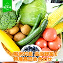 【ふるさと納税】【先行予約】（A）鳴沢村産高原野菜＆特産品詰め合わせ ふるさと納税 野菜 高原野菜 やさい とうもろこし キャベツ トマト きゅうり ブルーベリー ミニトマト 果物 くだもの フルーツ 山梨県 鳴沢村 送料無料 NSJ023