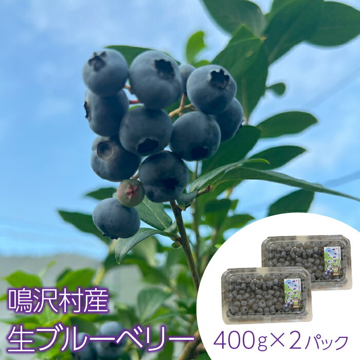 54位! 口コミ数「0件」評価「0」【先行予約】鳴沢村産生ブルーベリー400g×2パック ふるさと納税 ブルーベリー フルーツ 山梨県 鳴沢村 送料無料 NSJ033