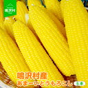 【ふるさと納税】<26年発送先行予約> 鳴沢村産あまーいとうもろこし5本 ふるさと納税 とうもろこし トウモロコシ コーン 野菜 山梨県 鳴沢村 送料無料 NSJ017
